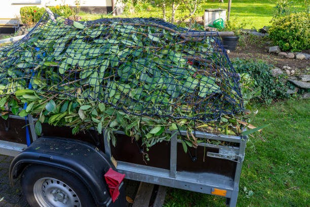 Best Estate Cleanout  in Henderson, NC